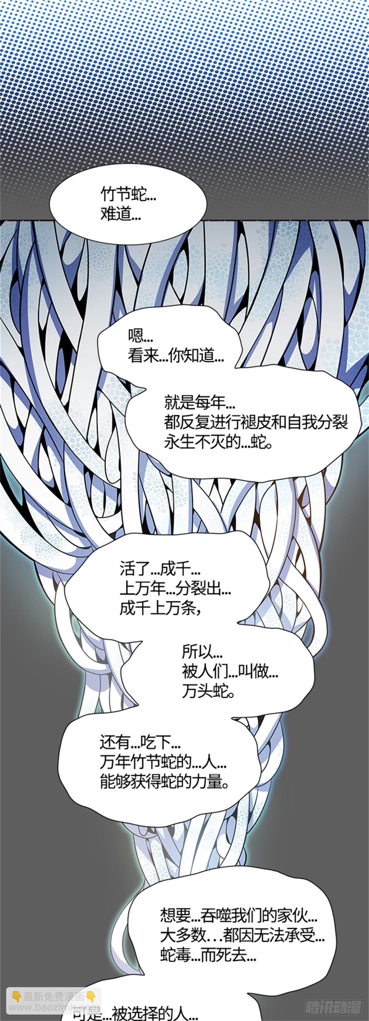 567.蟒蛇之女（2）(1/2)-第568话