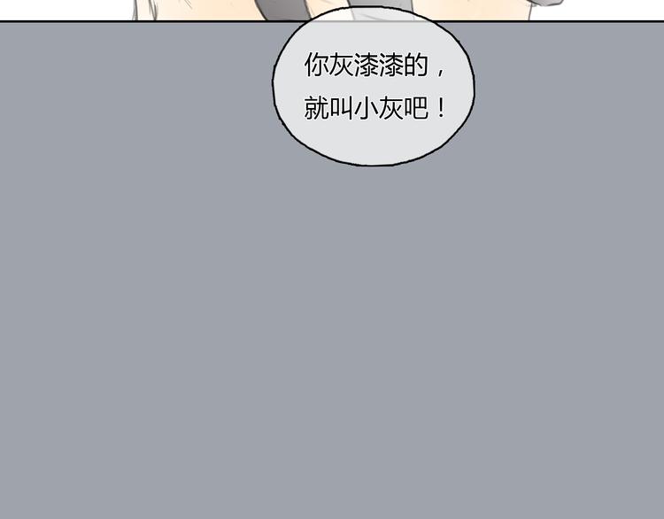 第24话 圣诞番外：爱黏思勋的小灰的故事(1/2)-第24话