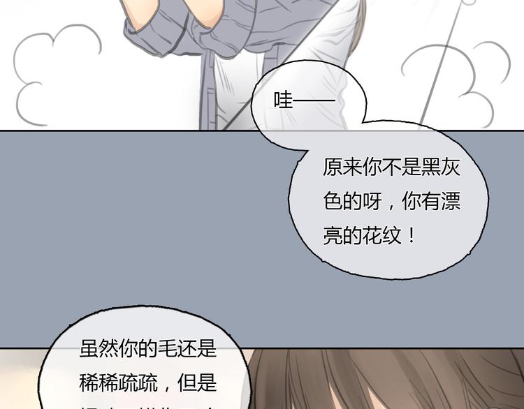第24话 圣诞番外：爱黏思勋的小灰的故事(1/2)-第24话