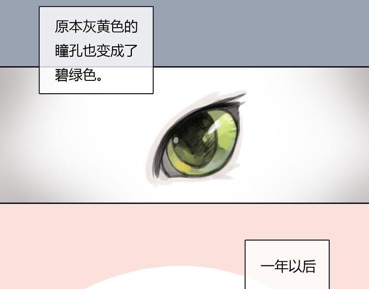 第24话 圣诞番外：爱黏思勋的小灰的故事(1/2)-第24话