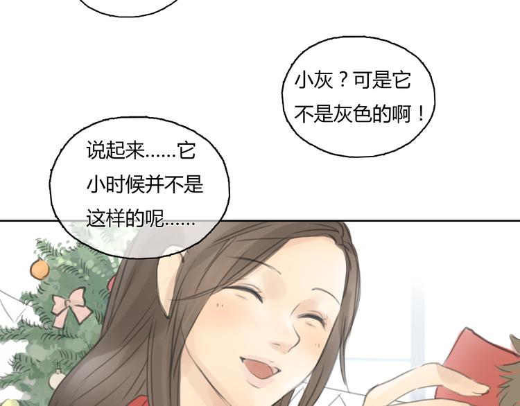 第24话 圣诞番外：爱黏思勋的小灰的故事(1/2)-第24话