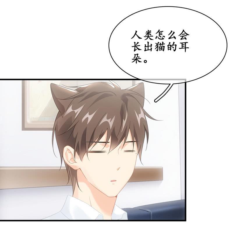 番外&mdash;猫耳2-第108话