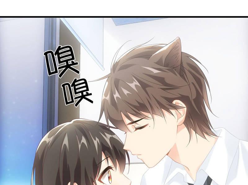 番外&mdash;猫耳2-第108话