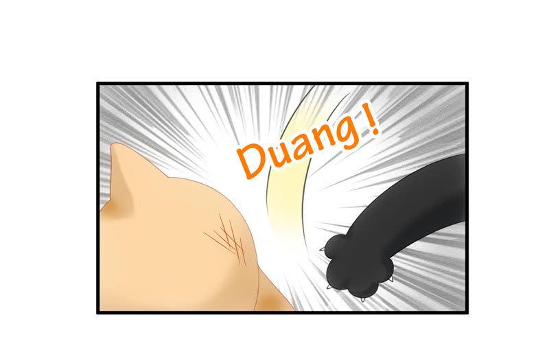 番外&mdash;猫耳2-第108话