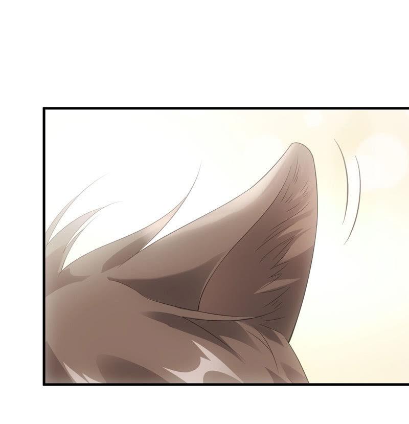 番外&mdash;猫耳2-第108话