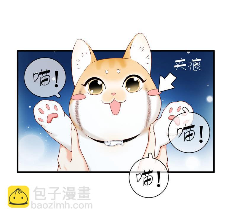 抢劫？！(1/2)-第12话