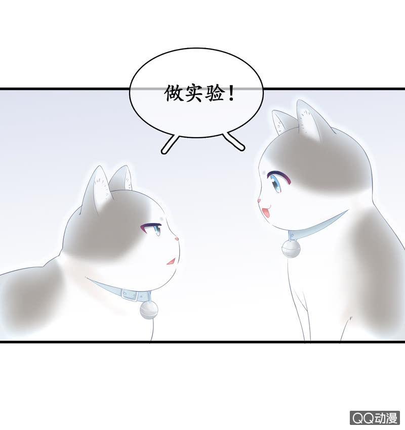 奶奶来电话啦~-第16话