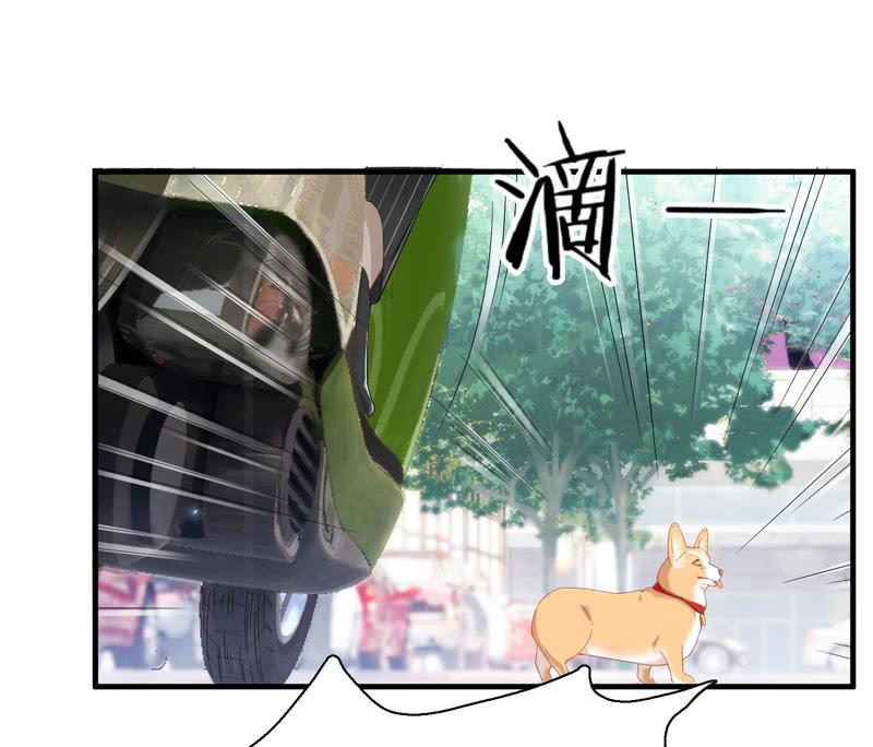这丫头是个疯子吗(1/2)-第4话