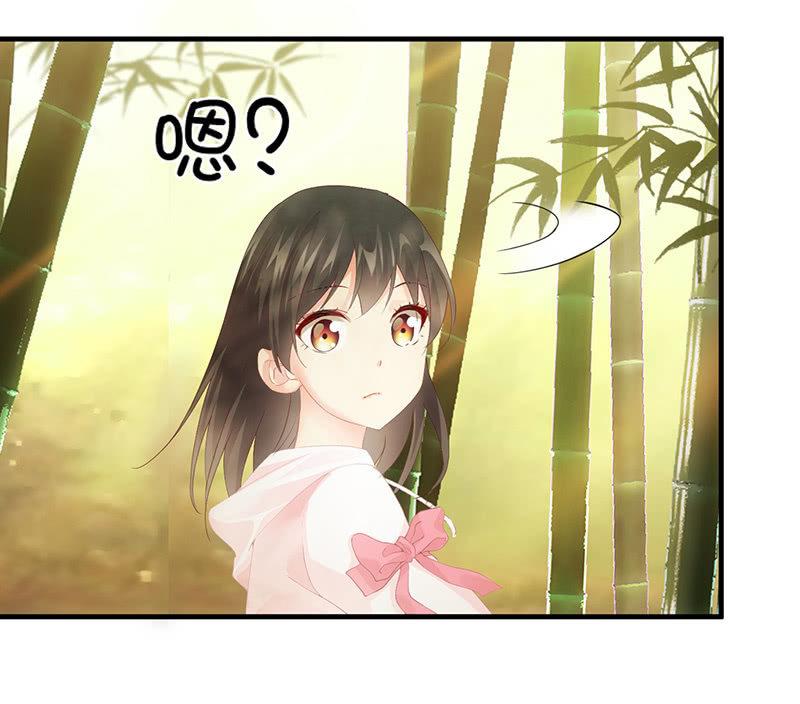 你愿意和我走吗？(1/2)-第54话