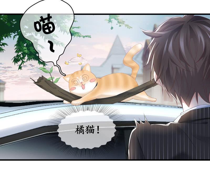 找到橘猫啦！(1/2)-第70话