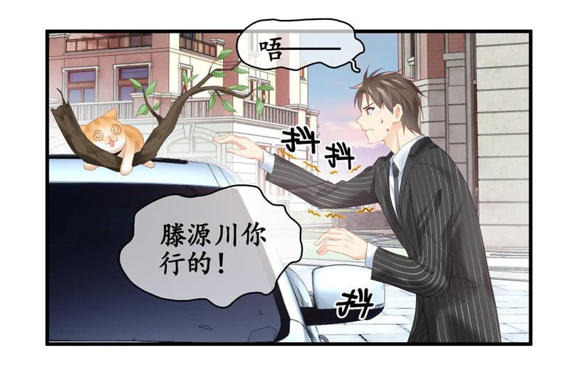 找到橘猫啦！(1/2)-第70话
