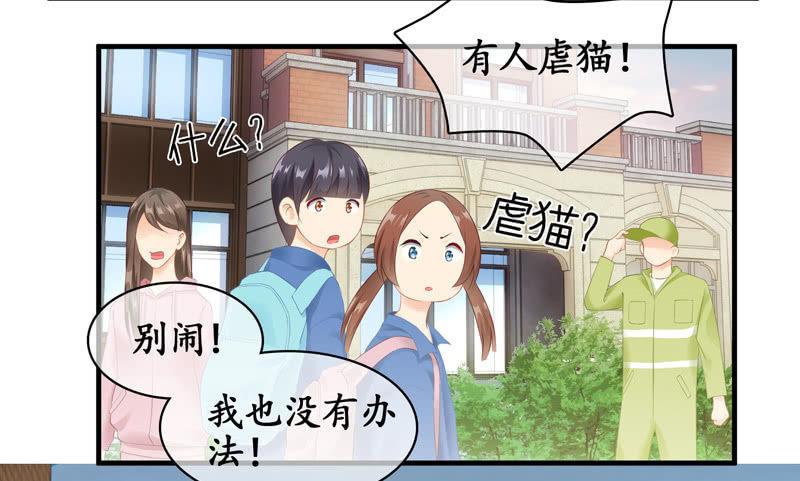找到橘猫啦！(1/2)-第70话