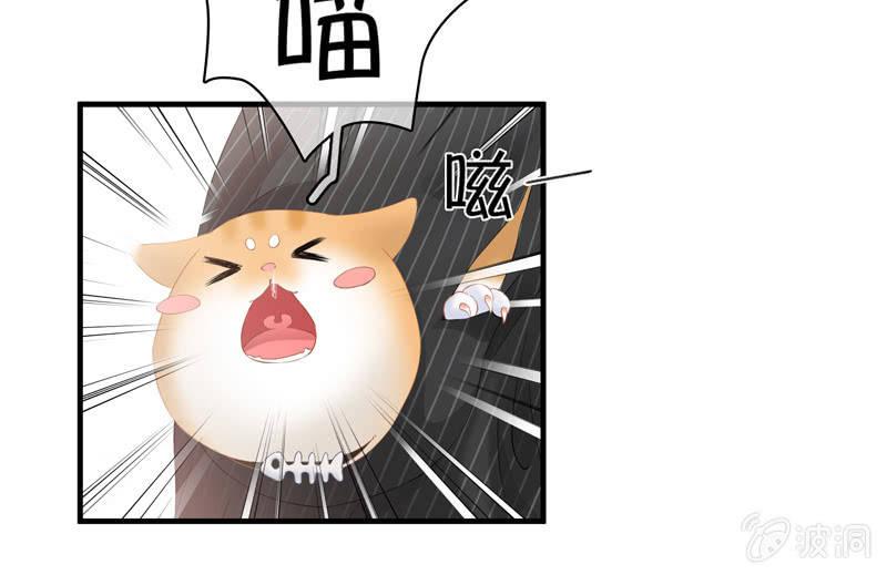 找到橘猫啦！(1/2)-第70话