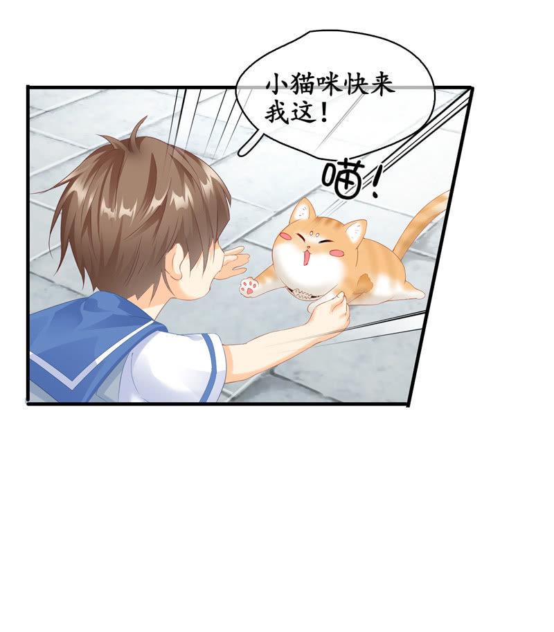 找到橘猫啦！(1/2)-第70话