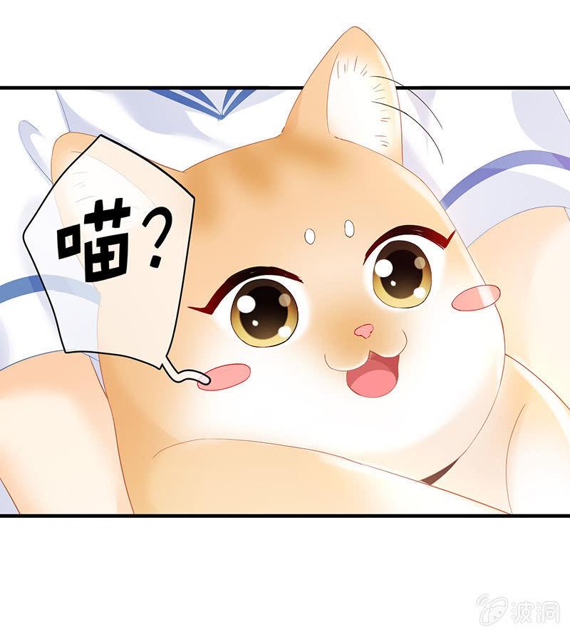 小鬼来保媒(1/2)-第74话