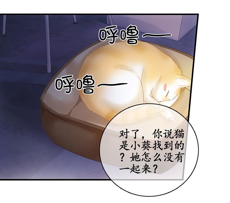 试探心意(1/2)-第78话