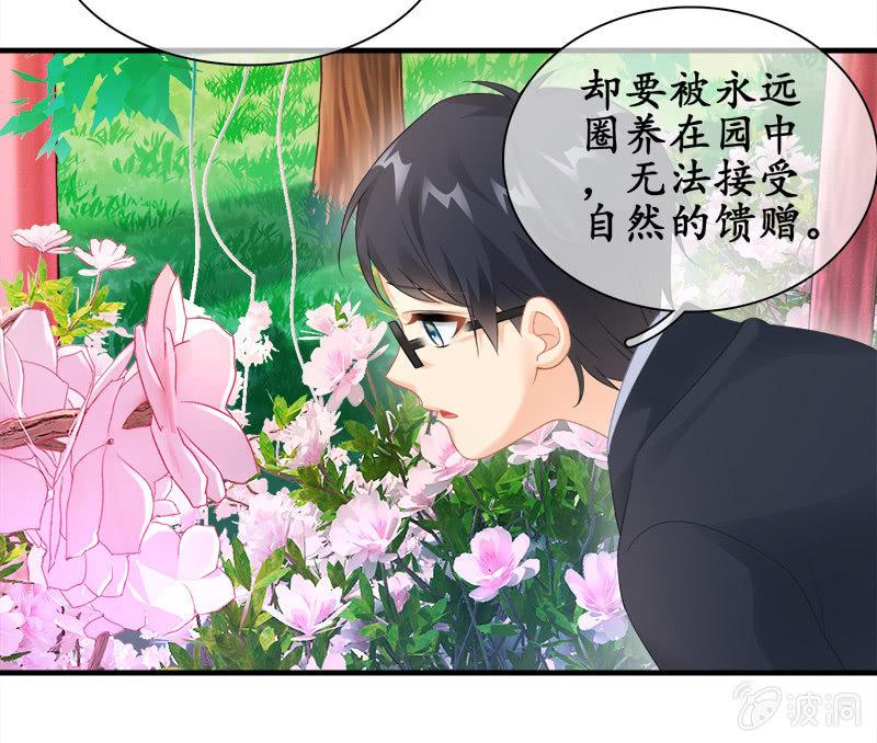 订婚宴-第92话