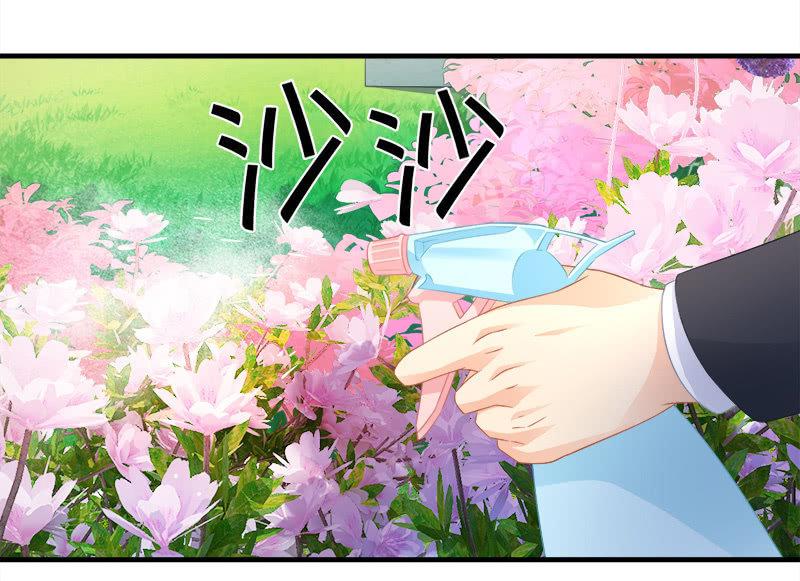 订婚宴-第92话