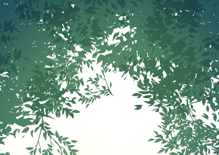 第32章 草木灵，变身！(1/3)-第32话