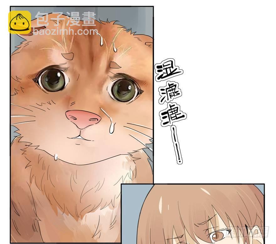 🍱拾光 下雨天最适合牵手了 第11页