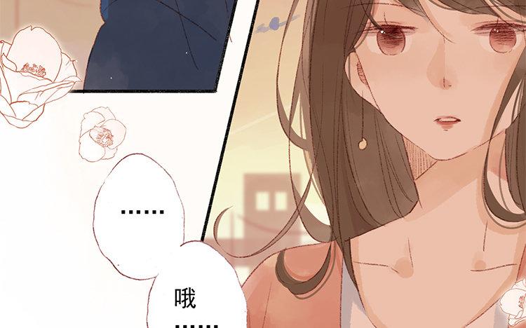 第47话 生日快乐(1/2)-第48话
