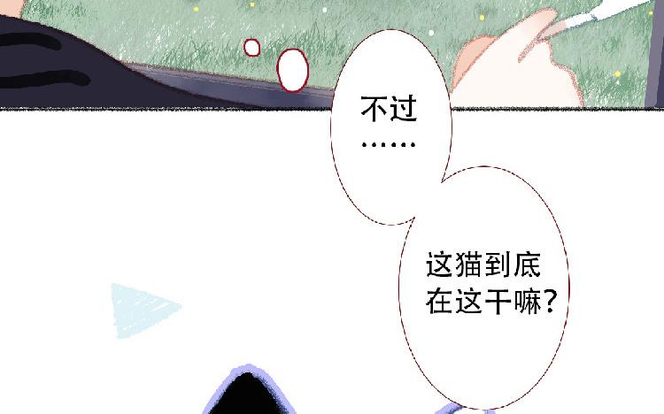 第95话 媒婆猫(1/2)-第96话