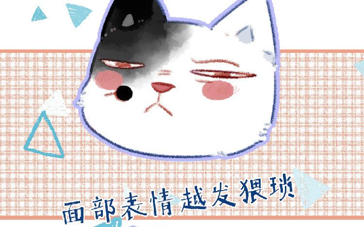 第95话 媒婆猫(1/2)-第96话