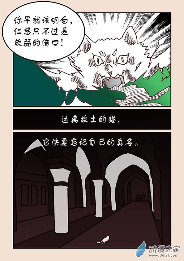 🍱石猴 第三十六章 猫之心2 第8页