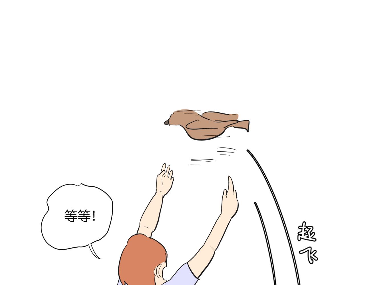 第11话  鸟与恐惧(1/2)-第12话