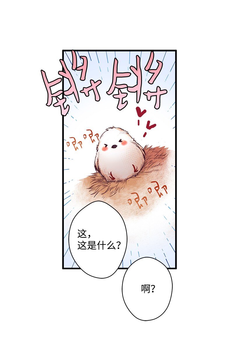 12 陌生的岛-第12话