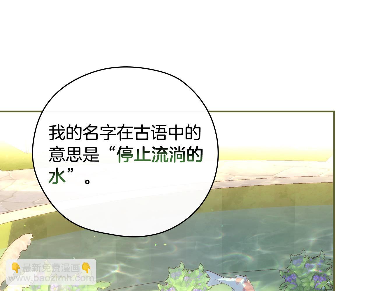 🍱侍女只想活下去 第117话 想杀大魔法师？ 第19页