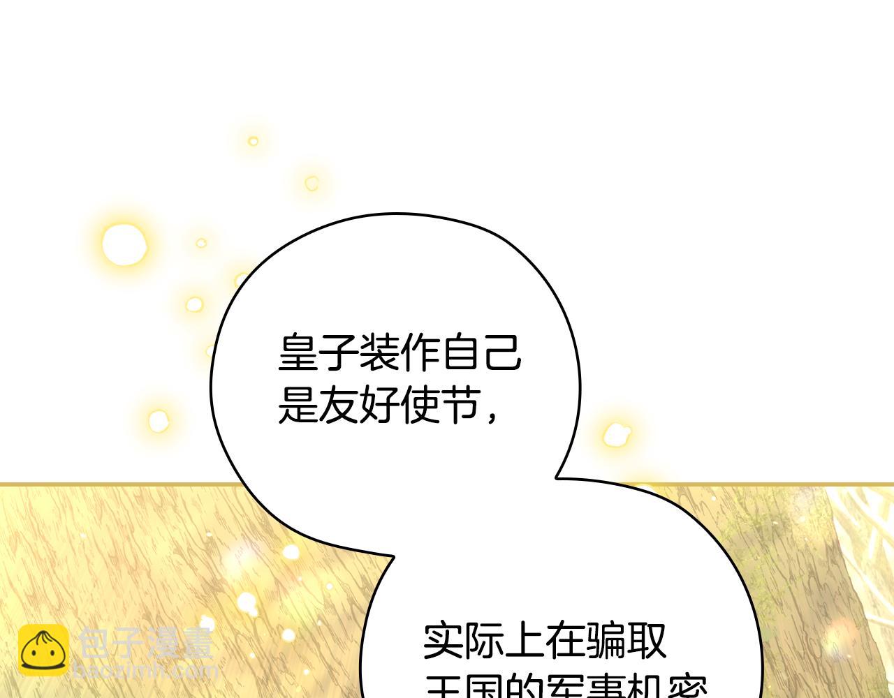 🍱侍女只想活下去 第135话 黑魔法师 第33页