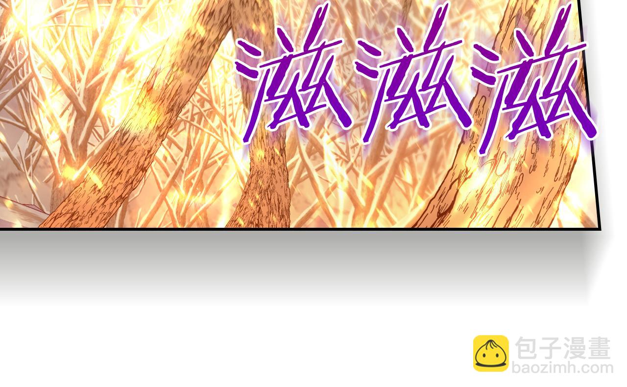 🍱侍女只想活下去 第137话 一触即发 第12页