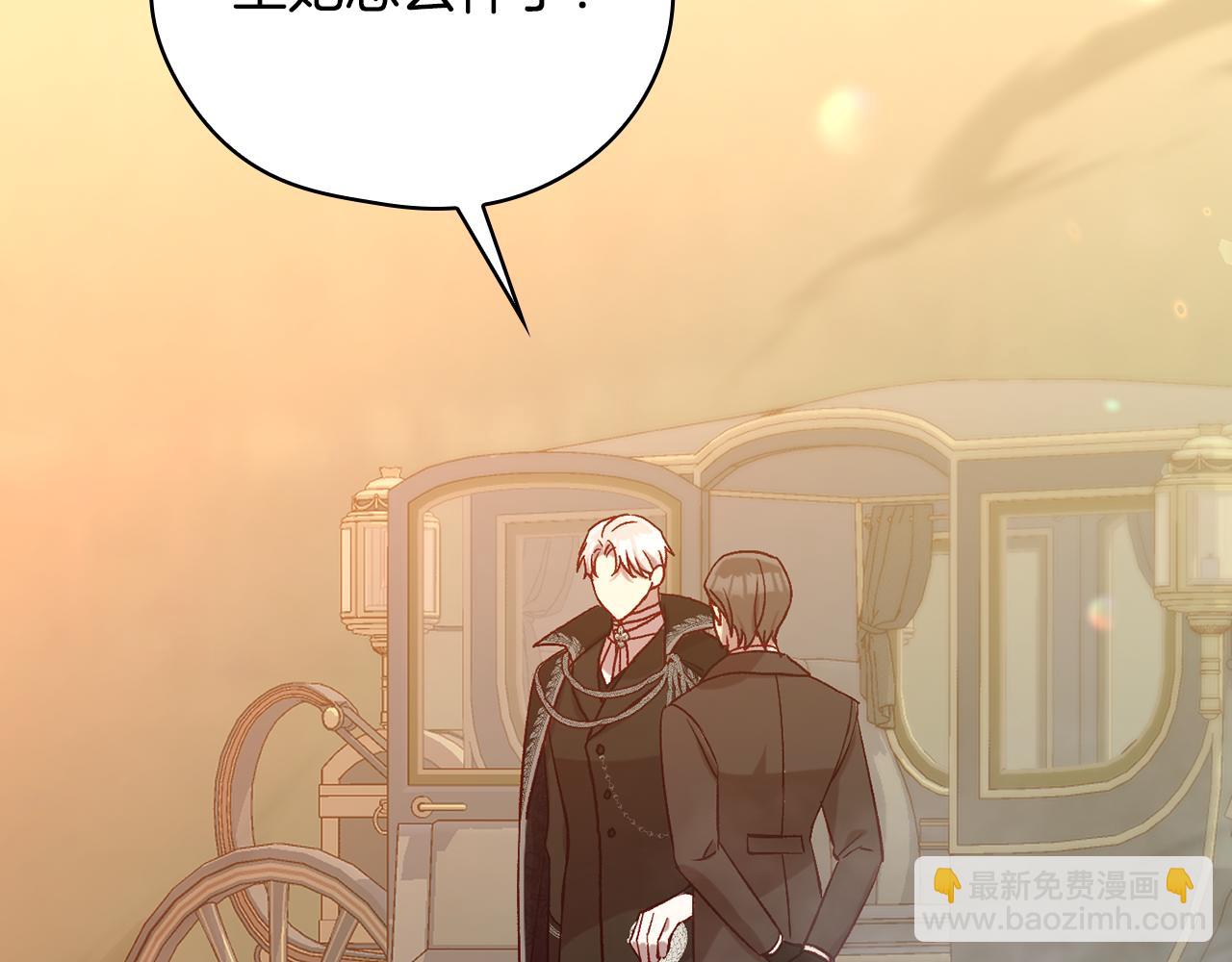 🍱侍女只想活下去 第141话 我所爱的异邦人 第15页