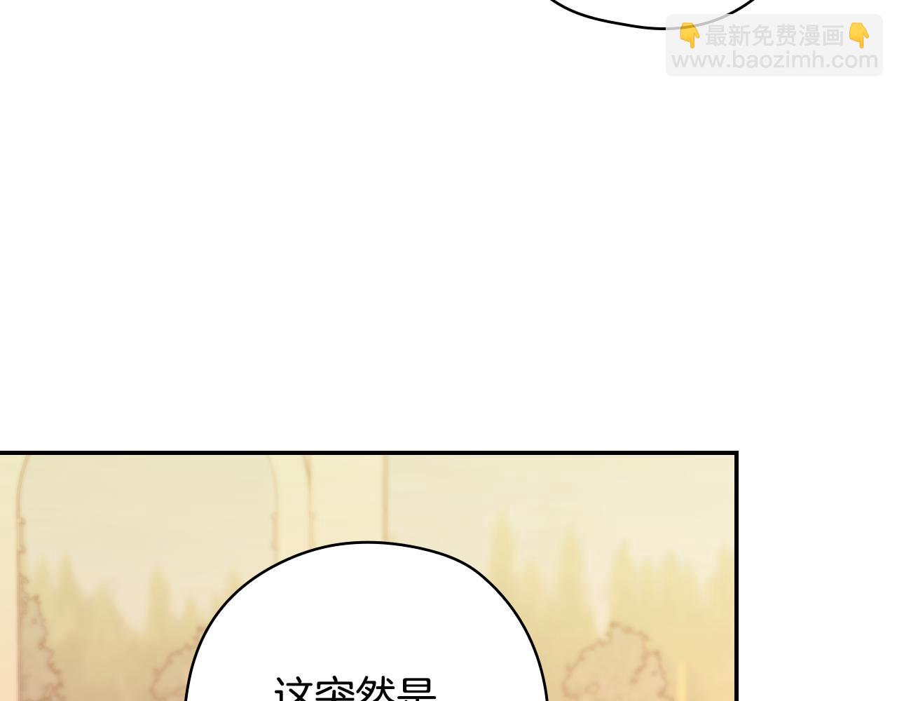 🍱侍女只想活下去 第141话 我所爱的异邦人 第31页