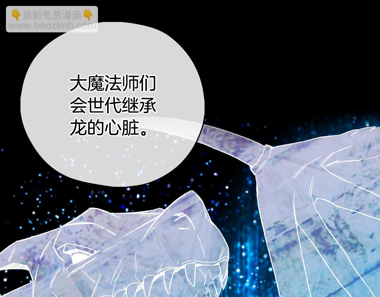 🍱侍女只想活下去 第91话 大魔法师的传说 第20页