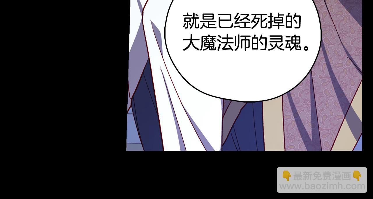 🍱侍女只想活下去 第91话 大魔法师的传说 第27页