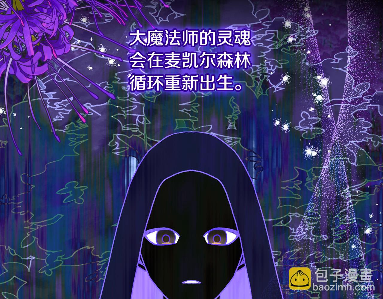 🍱侍女只想活下去 第91话 大魔法师的传说 第29页