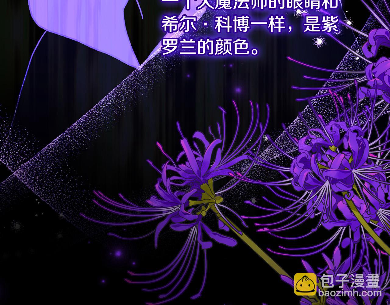 🍱侍女只想活下去 第91话 大魔法师的传说 第32页