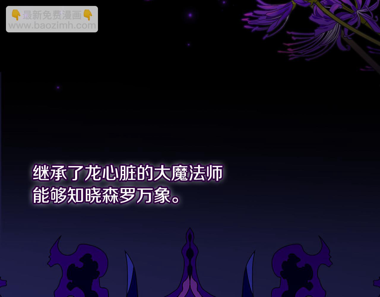 🍱侍女只想活下去 第91话 大魔法师的传说 第33页