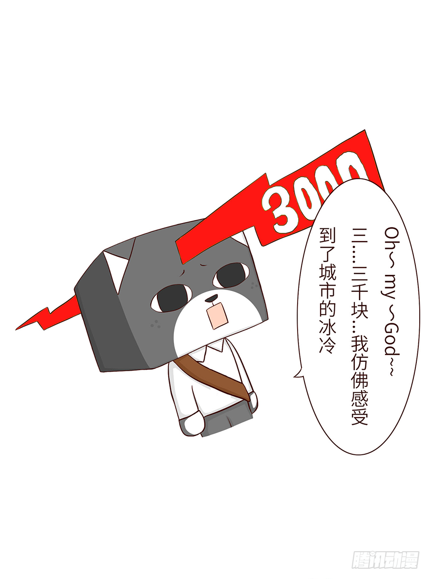 🍱十三生笑 找房子 第5页