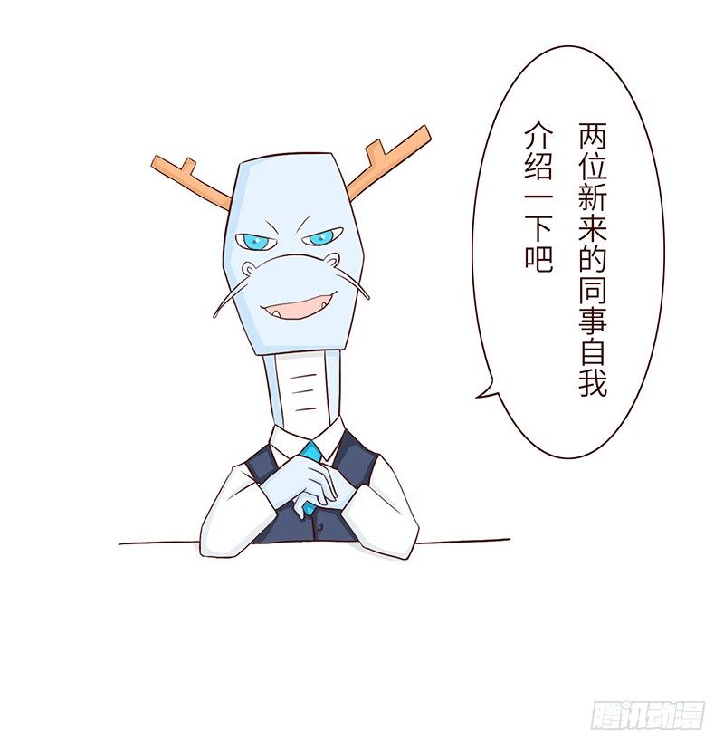 🍱十三生笑 分配 第4页