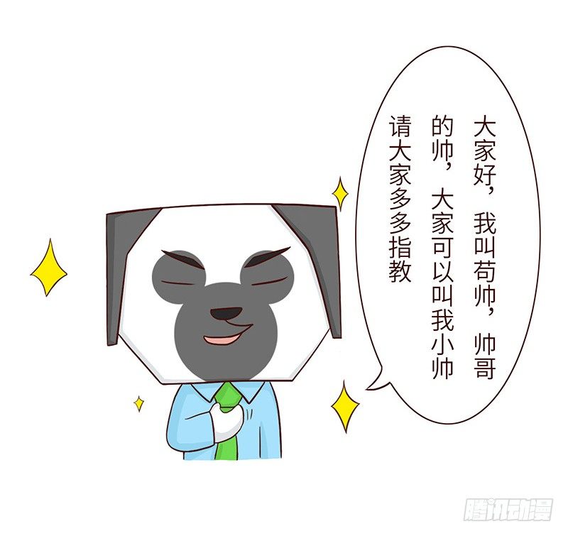 🍱十三生笑 分配 第5页