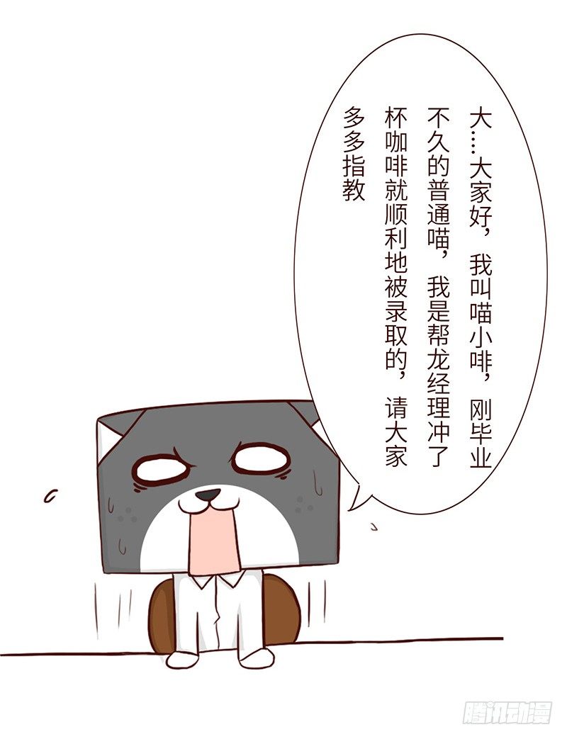 🍱十三生笑 分配 第6页