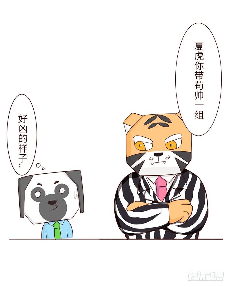 🍱十三生笑 分配 第9页