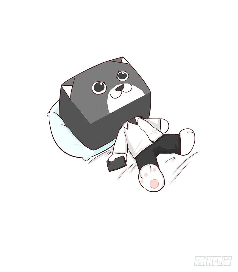 🍱十三生笑 首单 第10页