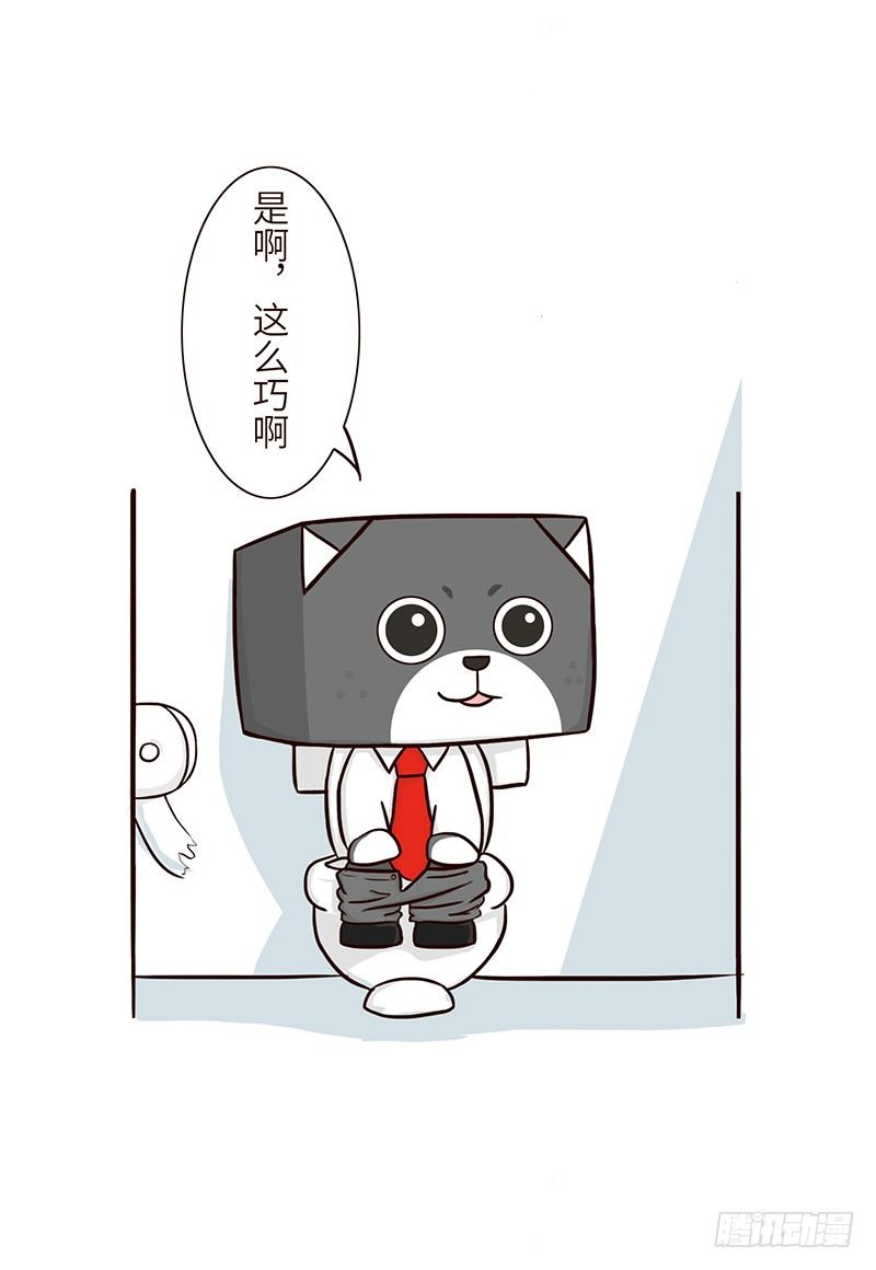 🍱十三生笑 重要任务 第5页