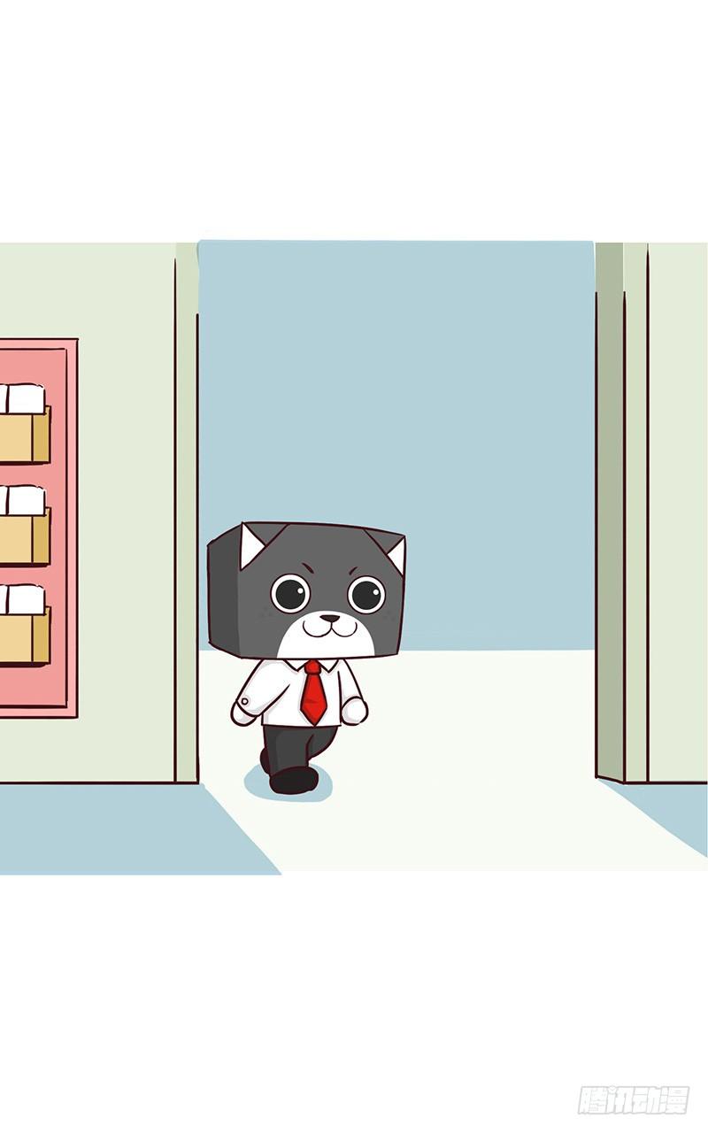 🍱十三生笑 【喵大神】上 第3页