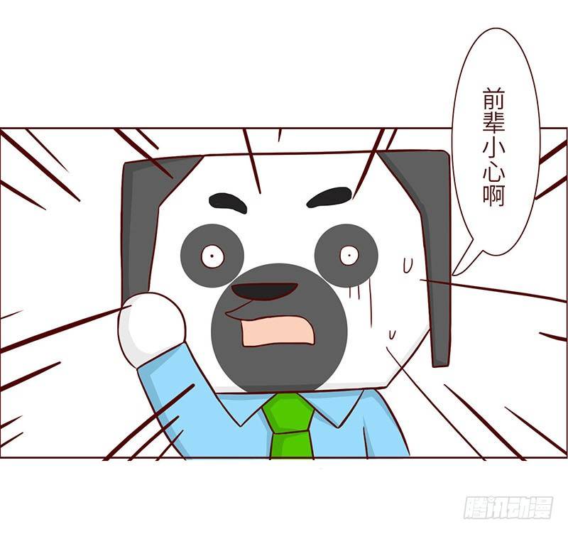 🍱十三生笑 英雄 第11页