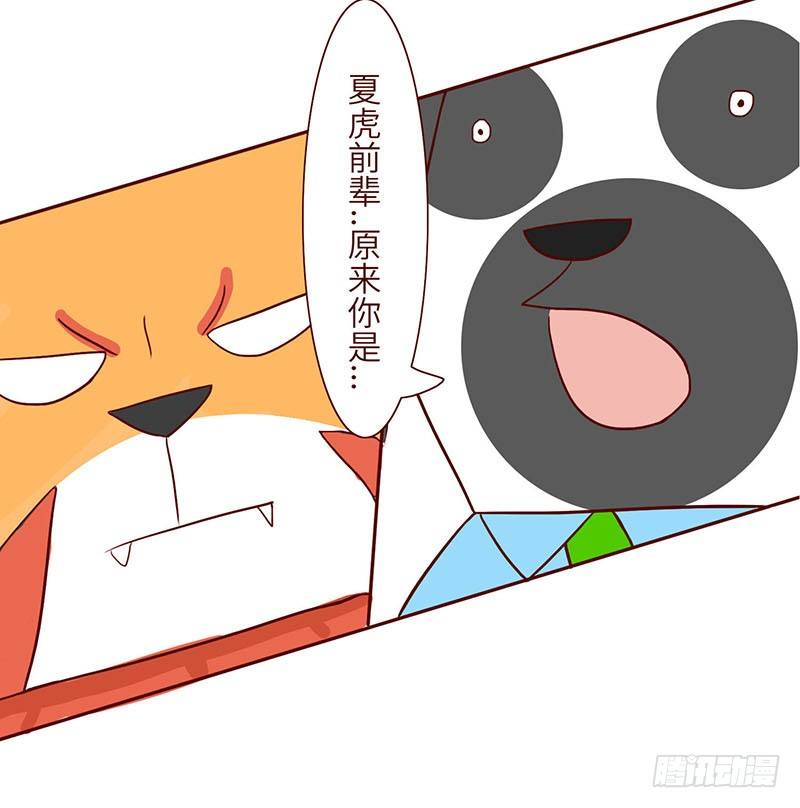 🍱十三生笑 英雄 第16页